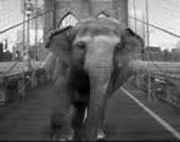 Pachyderm Parade: Carnegie's Elephant on the Bridge of Steel